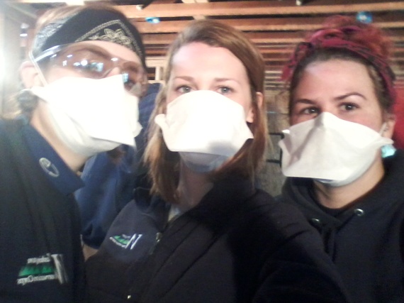 Amanda, Sara, and Ali getting ready to tackle some insulation