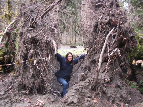 Jen, making her way through root wads near the Duckabush River